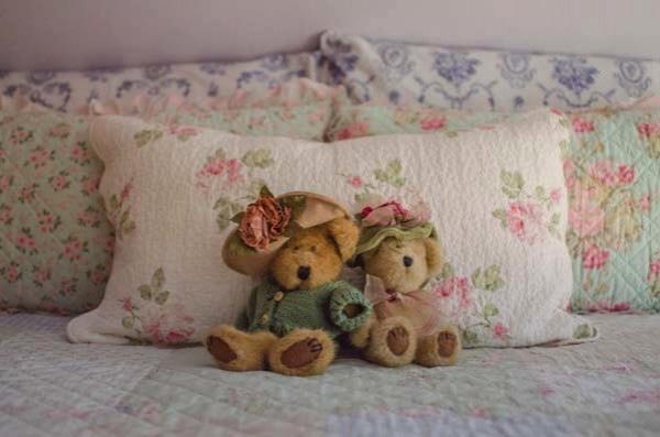 Tea Rose Inn At Plymouth, Nh מראה חיצוני תמונה